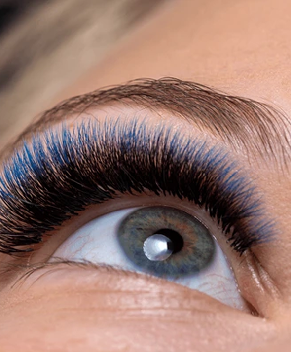 Frame 2147223923 (6)